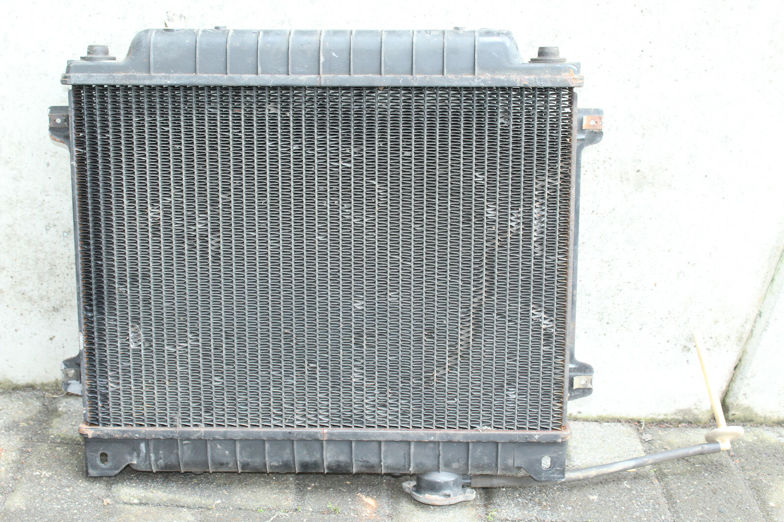Picture 6 of 6