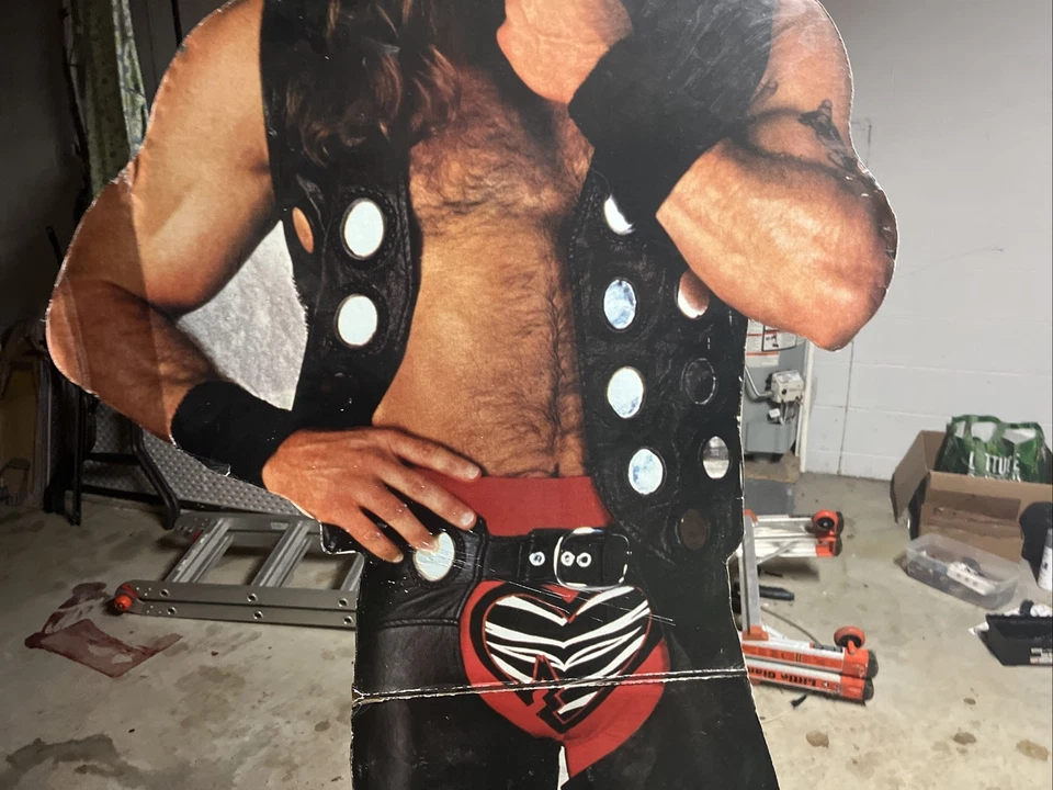 Vintage 1995 WWF Shawn Michaels Heartbreak Kid Life Size Standee Display - Image 3 of 4