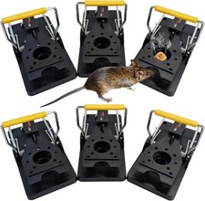 Heavy Duty Mouse Traps Reusable Professional Control High Strength Spring 6 PCS
