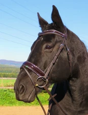 FSS STELLAR Curve CRYSTAL RHINESTONE Bling PIPING EDGE Comfort PATENT Bridle NEW