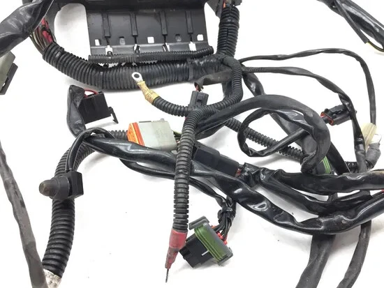 Arnés de cableado del motor principal 2004 Harley-Davidson Softail Standard FXST 2916A Foto 4 de 4