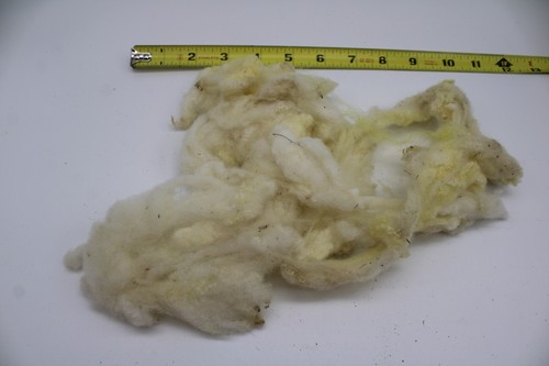 Natural Wool Roving Top For Needle Felting Hand Spinning DIY Crafts -- CHOICE - Picture 401 of 462