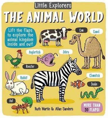 Ruth Martin Little Explorers (Kartonbuch) (US IMPORT)
