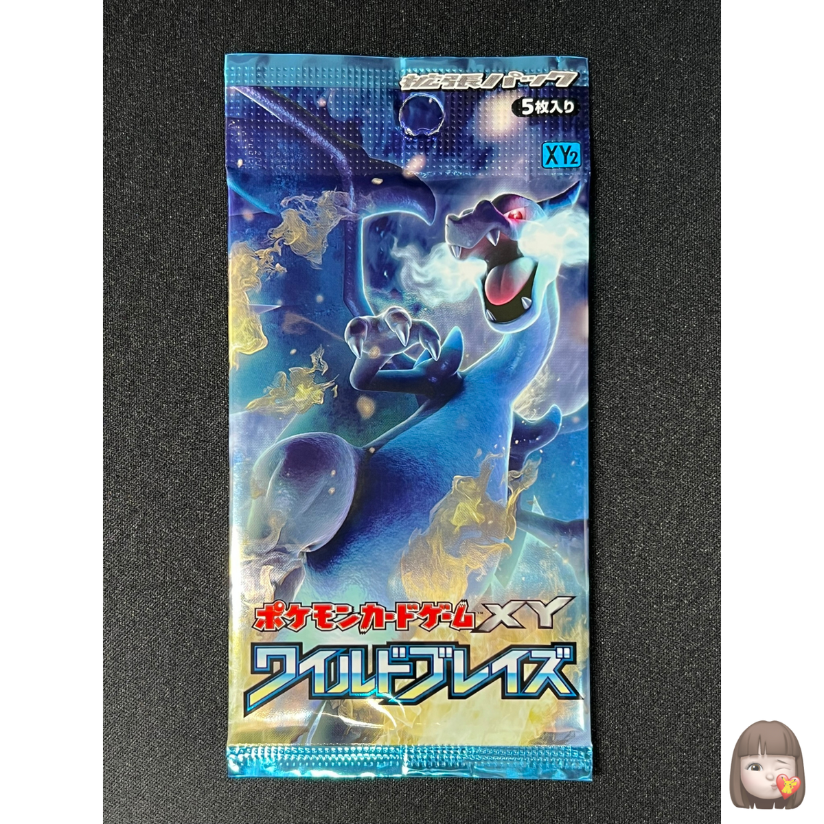 Sealed] Wild Blaze Pokemon Card Booster Pack Japanese XY 1 Pack