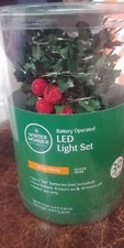 Winter wonder Lane - Holly berry Light 30 Count set timer feature warm white NEW