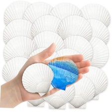 YUJUN 32PCS Natural Scallop Shells, 2''-3'' White Seashells Bulk for DIY Crafts