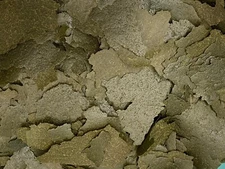 ABF Ultra+ Spirulina & Garlic Tropical Fish Flake,Kelp,,ABF404