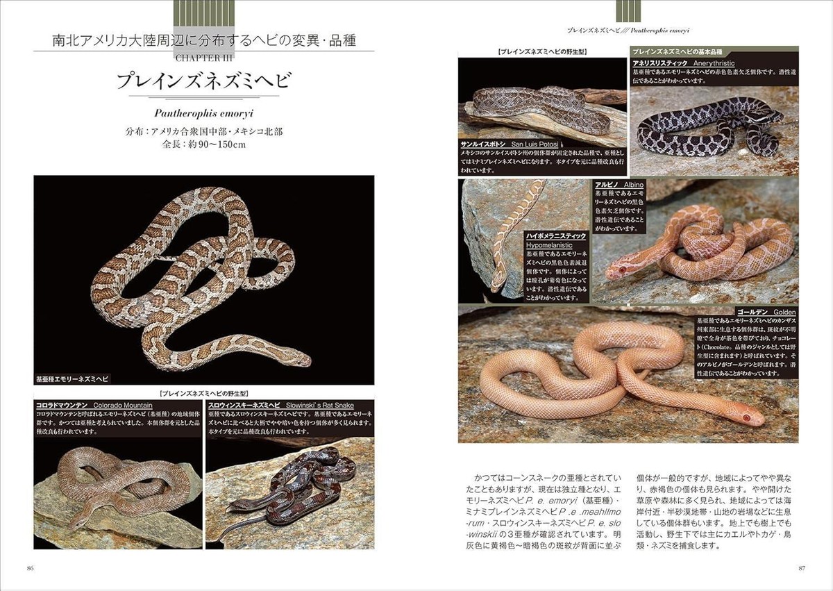 Book Snake Species Encyclopedia: A Comprehensive Guide to