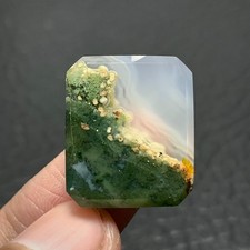 Scenic Moss Agate Cabochon 21x18x5mm High Quality 20 ct