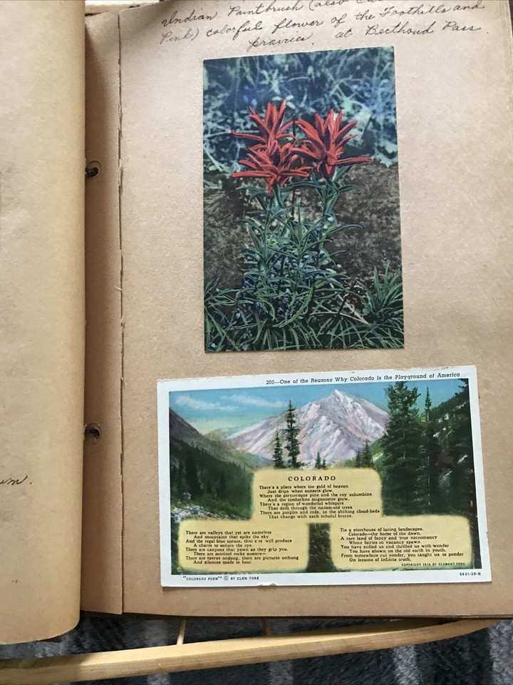 1940s-scrap-book-mae-west-alaska-ephemera-memories-events-newspaper