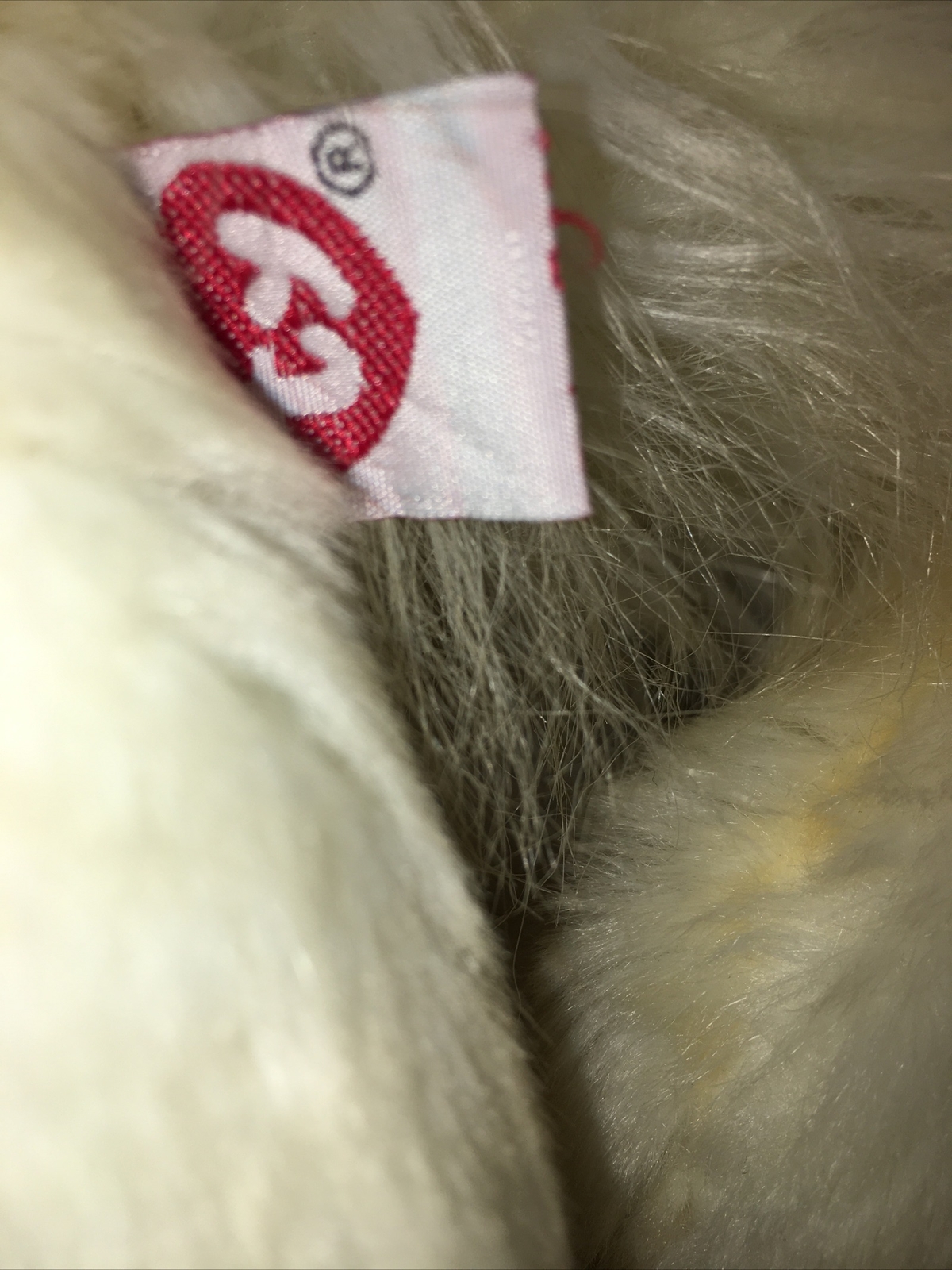 Bild 6 von 7