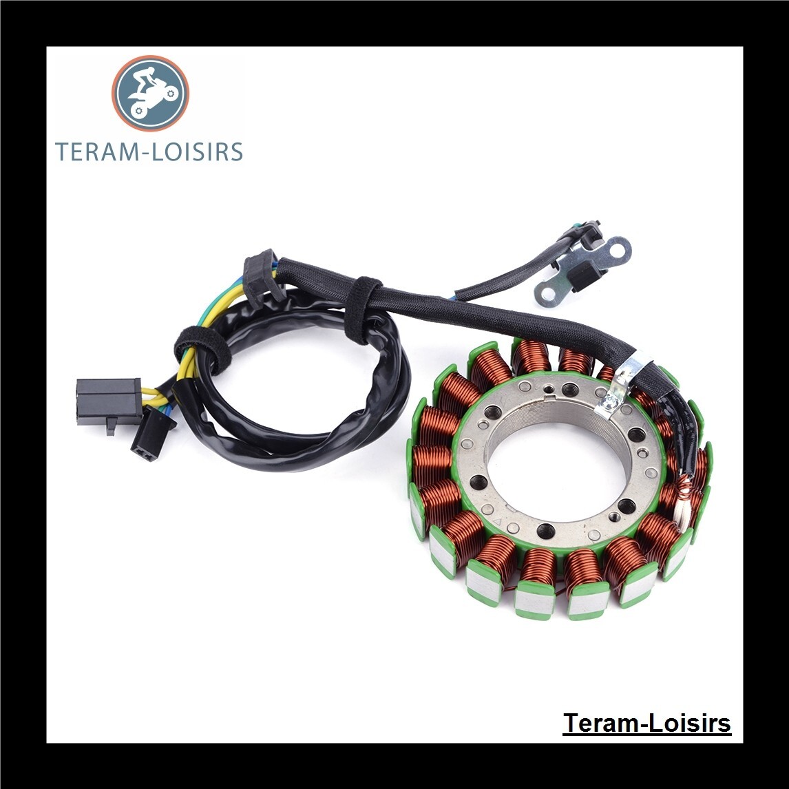 Stator alternateur Suzuki TL 1000 S résout les pannes de batterie