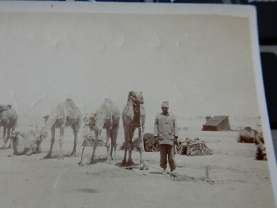 WW1 MINIATURE PHOTOGRAPH Tel-El-KUBRI Egypt 1916 EGYPTIAN CAMEL CORPS