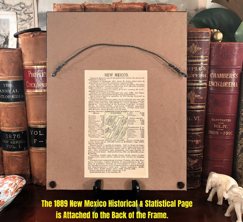 Framed Original 1889 Antique Map NEW MEXICO Albuquerque Las Vegas Lunas