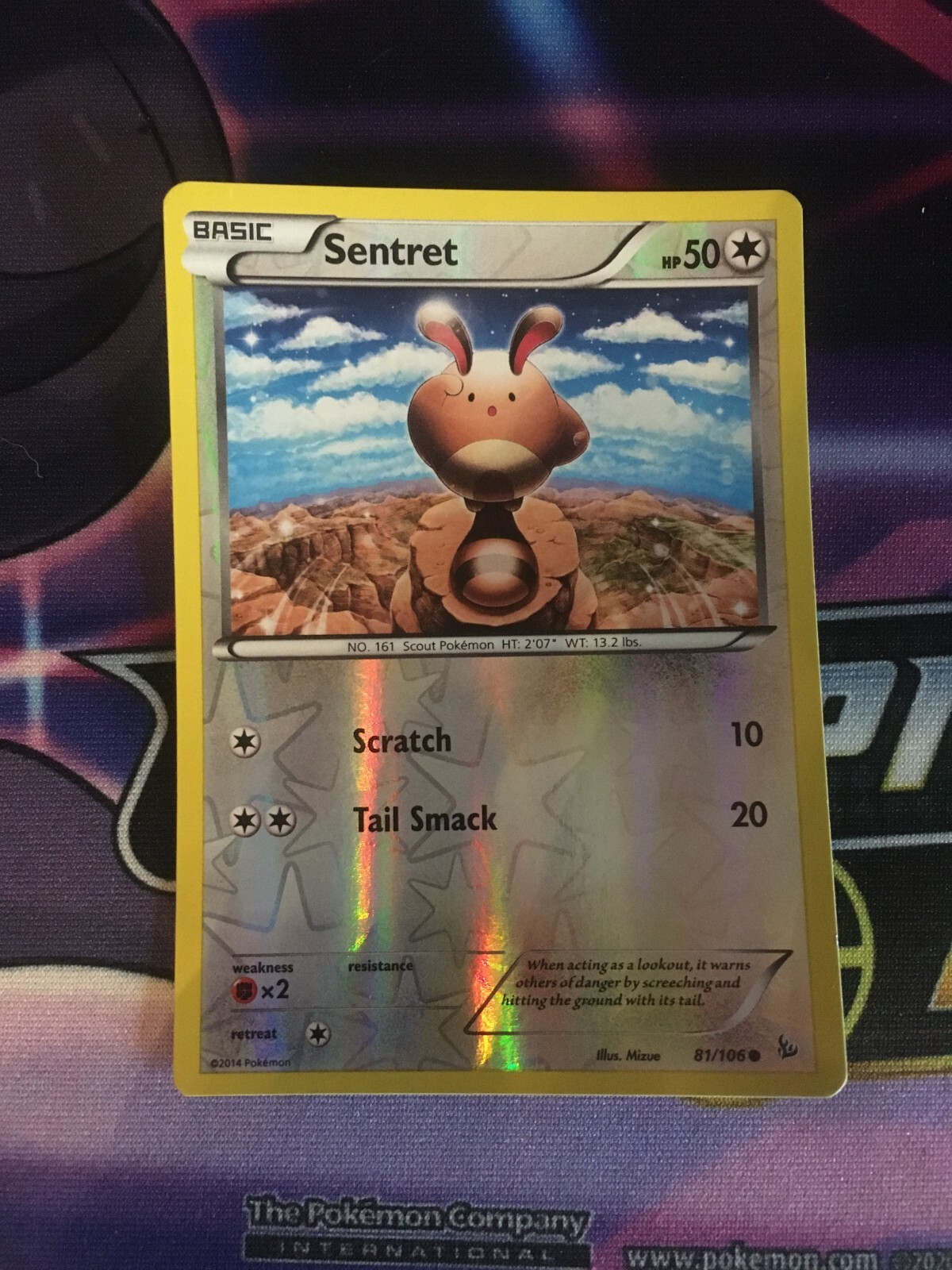 Sentret - 81/106 - Reverse Holo - XY Flashfire Pokemon - NM