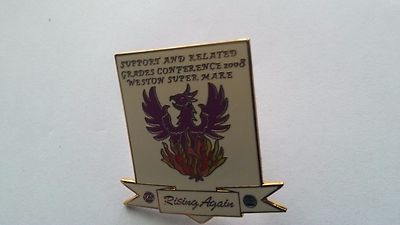 SUPPORT & RELATED GRADES CONFERENCE 2008 PCS TRADE UNION BADGE