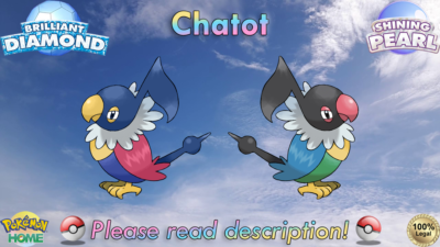 Chatot Pokemon Brilliant Diamond