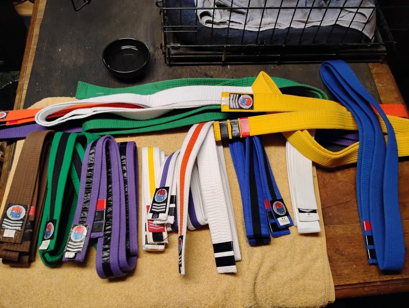 Lot of 13 Karate Belts Good condition
