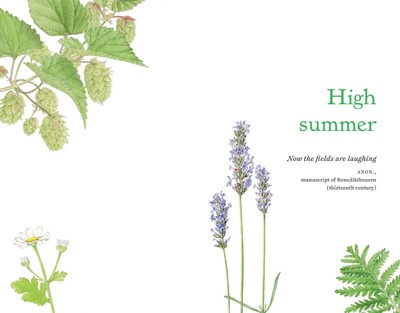 The Herbal Year | Folklore, History and Remedies | Christina Hart-Davies | Buch