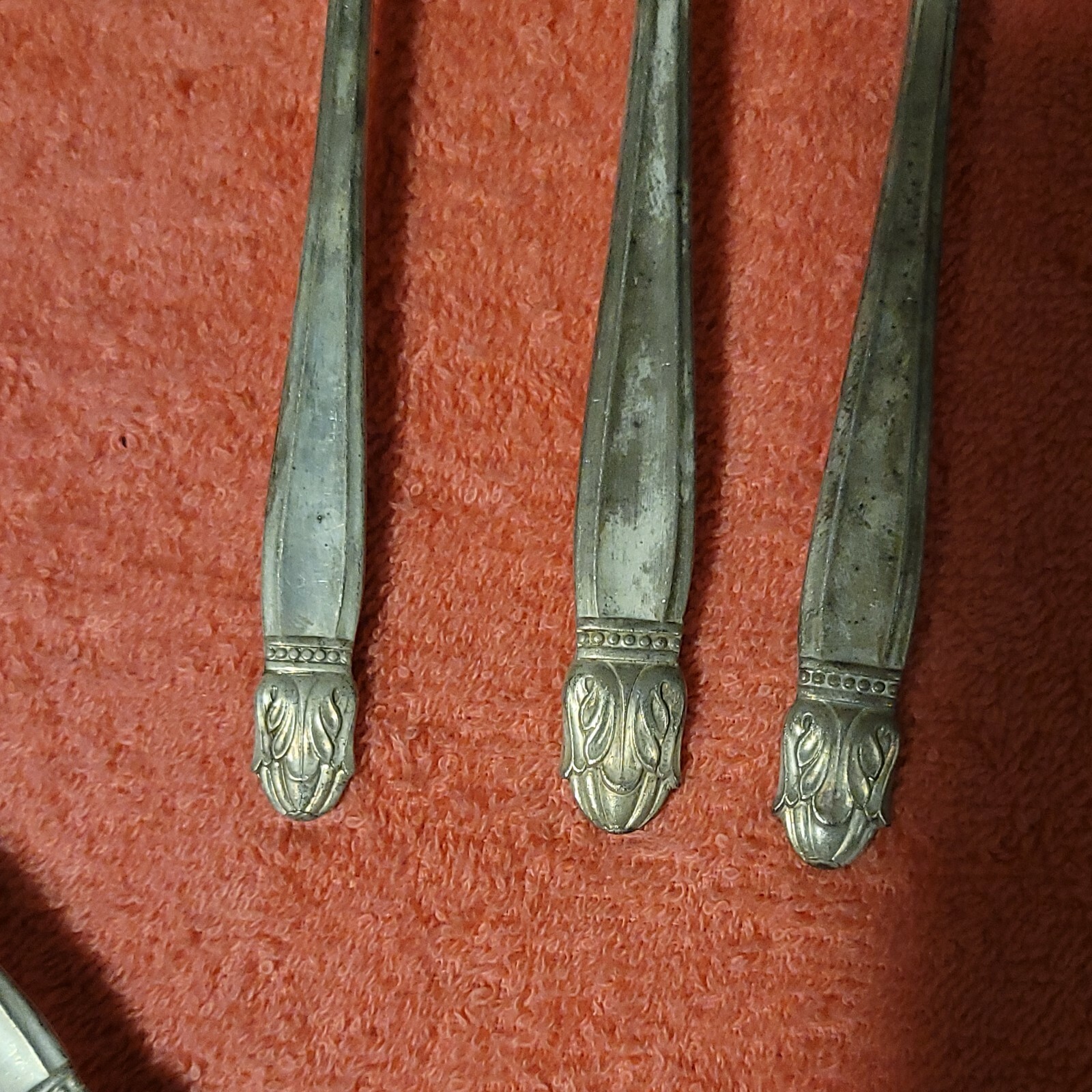 Picture 4 of 12