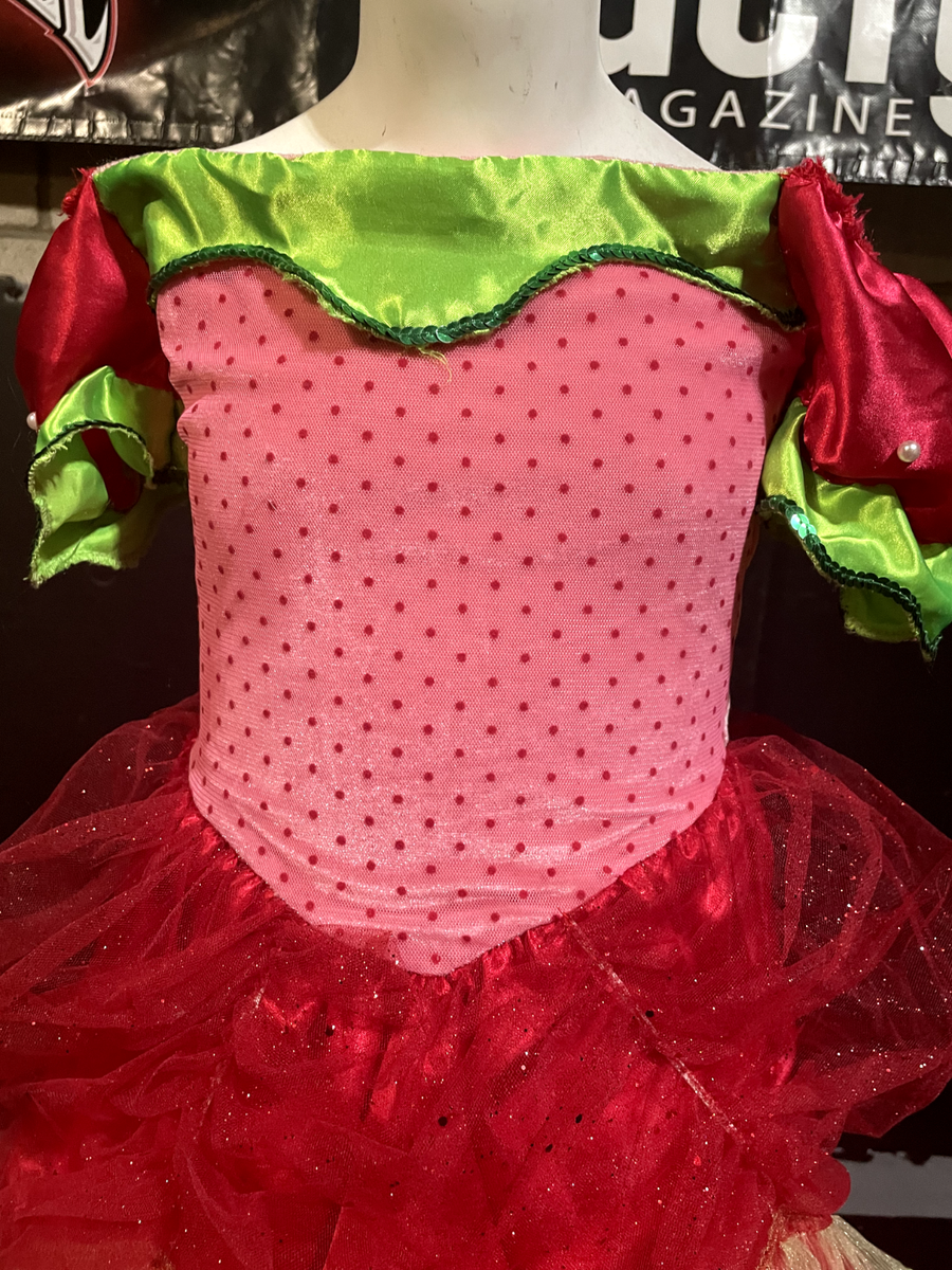 strawberry shortcake princess dress up Which Strawberry Shortcake princess dress is your favorite from the images  below? : r/StrawberryShortcake