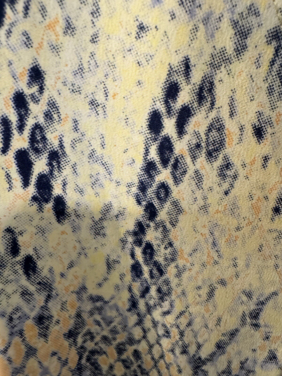 Picture 4 of 15