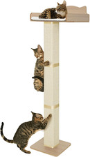 Cat Window Perch  Scratching Post with Cushion and Suction Cups