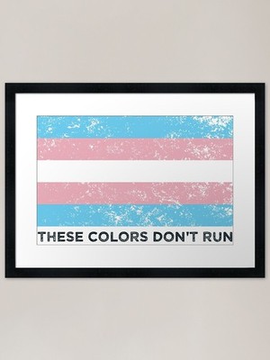 These Colors Don't Run -- Transgend gerahmtes Wandbild Poster Leinwanddruck Bild