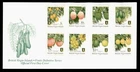 DR WHO 2005 BRITISH VIRGIN ISLANDS FDC FRUIT COMBO $10 NOT CANCELLED? R65677