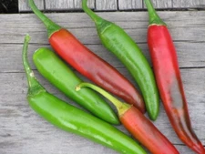 50+ Serrano Chili Pepper Seeds | Non-GMO Fresh