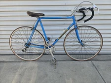 💥PRO-MIYATA IND CO LTD JAPAN BICYCLE VTG ROAD RACING 53cm