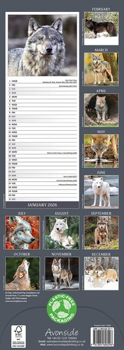 Wolves Slim 2026 Calendar | Slimline Gift 15% OFF MULTI ORDERS - Picture 3 of 8