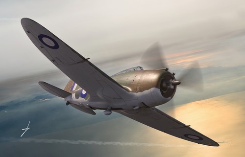 Dora Wings 72029 - 1/72 - Republic P-43 Lancer, kit modelo a escala de reconocimiento - Imagen 8 de 8