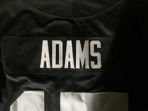 NFL Nike Las Vegas Raiders Davante Adams 17 Limited Edition Jersey Size XL - Bild 3 von 6