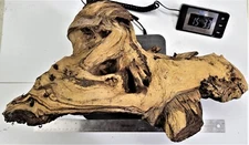 Zoo Med Mopani Wood For Tank or Terrarium  8" to 18"+ Long