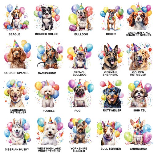 Confezione Regalo Compleanno Cane Personalizzata Trattare Cane Cucciolo Pet Qualsiasi Razza Regalo - Foto 7 di 9