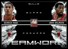 2009-10 Donruss Elite Teamwork Derrick Rose/John Salmons Chicago Bulls #4