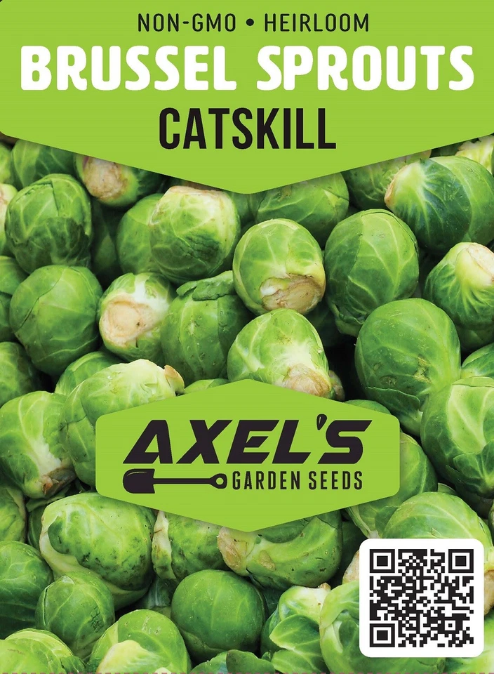 Semillas de col de Bruselas Catskill para plantar - semillas vegetales no transgénicas de reliquia Foto 2 de 4