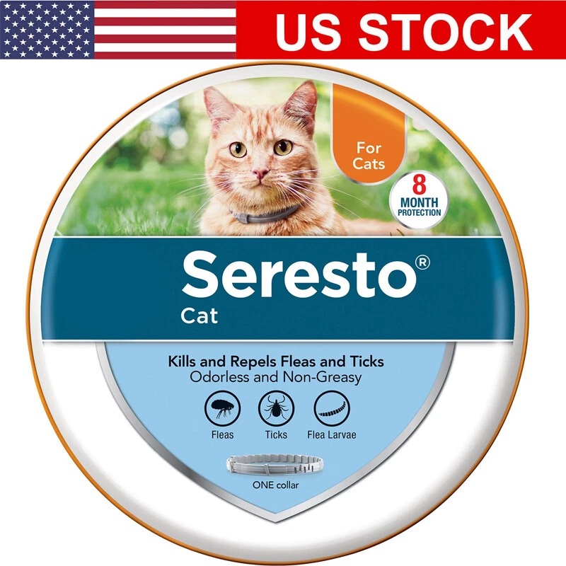 Seresto cat flea top collar best price