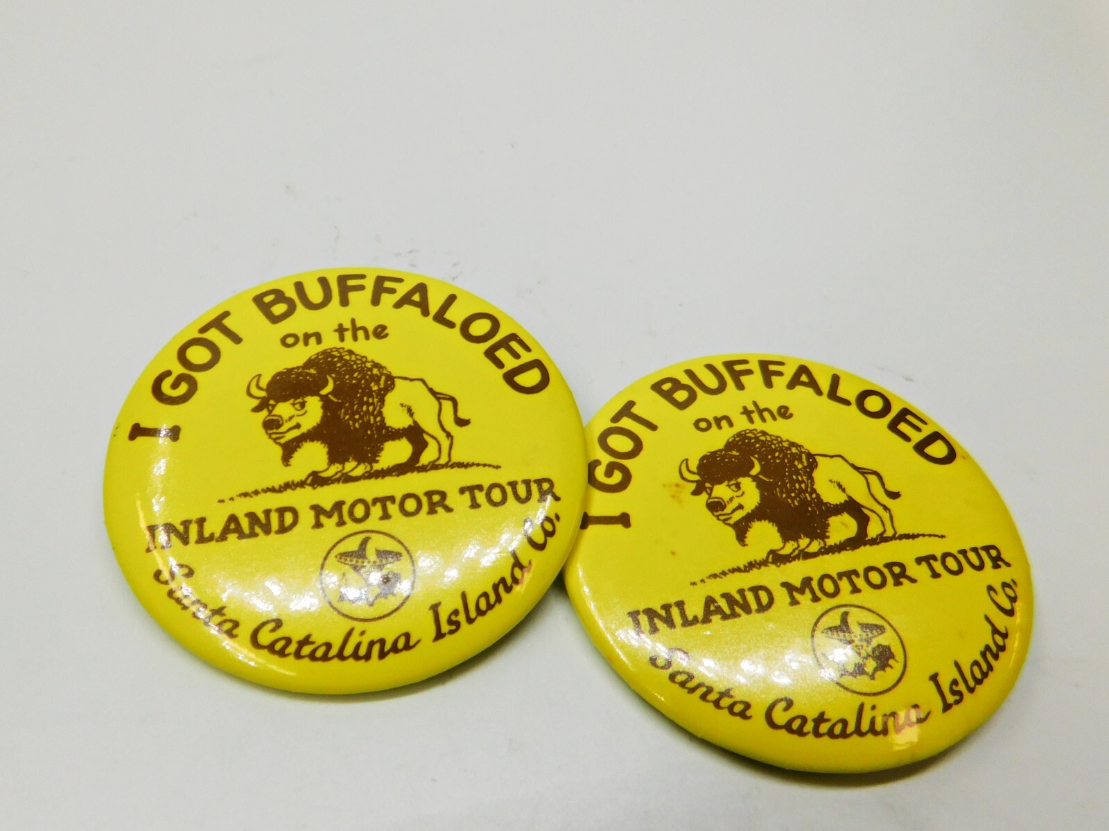 2 I got Buffaloed On the Inland Motor Tour Pins Buttons Catalina Island