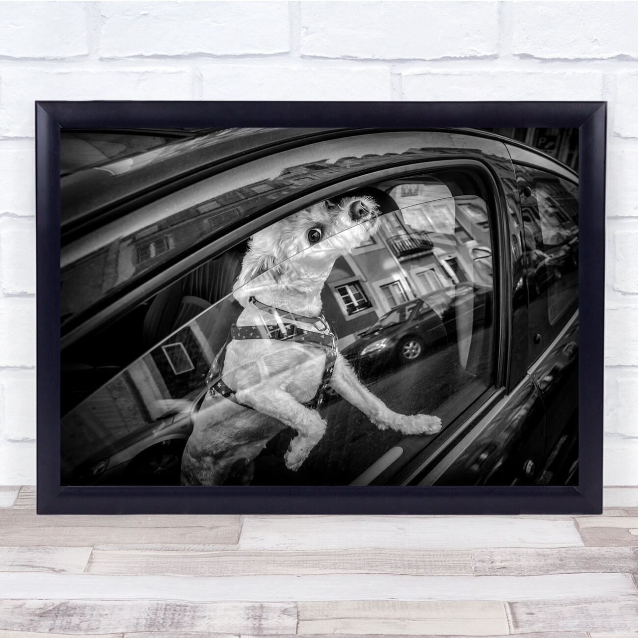 Dog Street Urban Window Monochrome Candid Animal Pet Hi There Wall Art Print