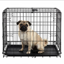 Dog Crate 24 Inch Small Wire Kennel Divider Panel Metal Cages with Double Door
