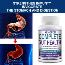 Probiotics for Adults - Enhance Immunity, Strengthen Stomach and Aid Digestion
