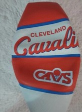 WILSON NBA Alliance Series Basketballs - Team Logo Basketballs - Size 3