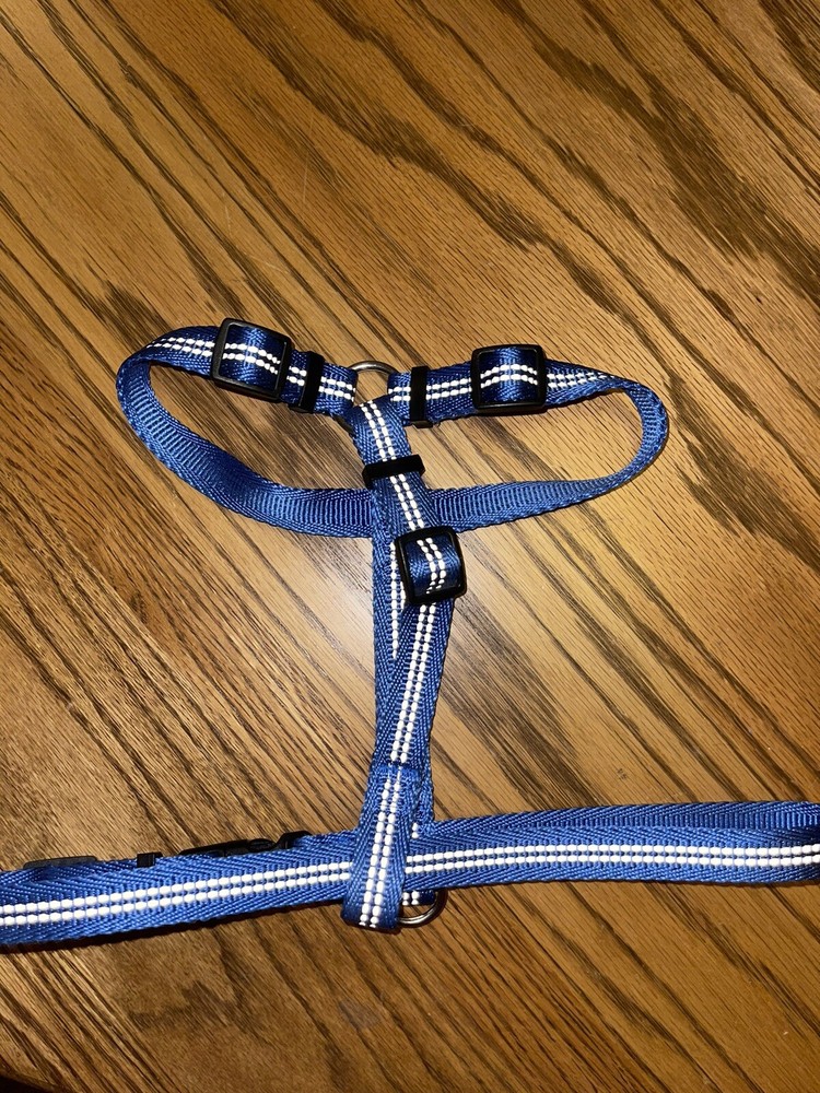 Good2Go Reflective Adjustable Dog Harness in Blue, Medium By: Good2Go