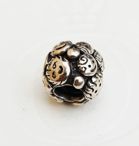Genuine Pandora Indsamling Family Ties Charm - 790487EN09 - retired - Picture 3 of 5
