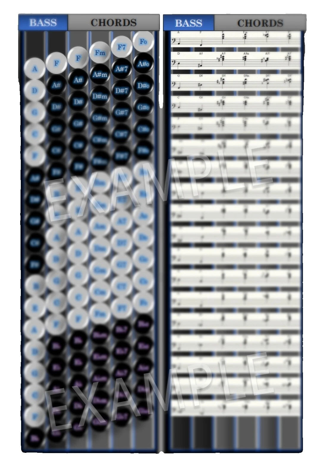 120 Bass Keys Accordions