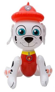 paw patrol characters marshall