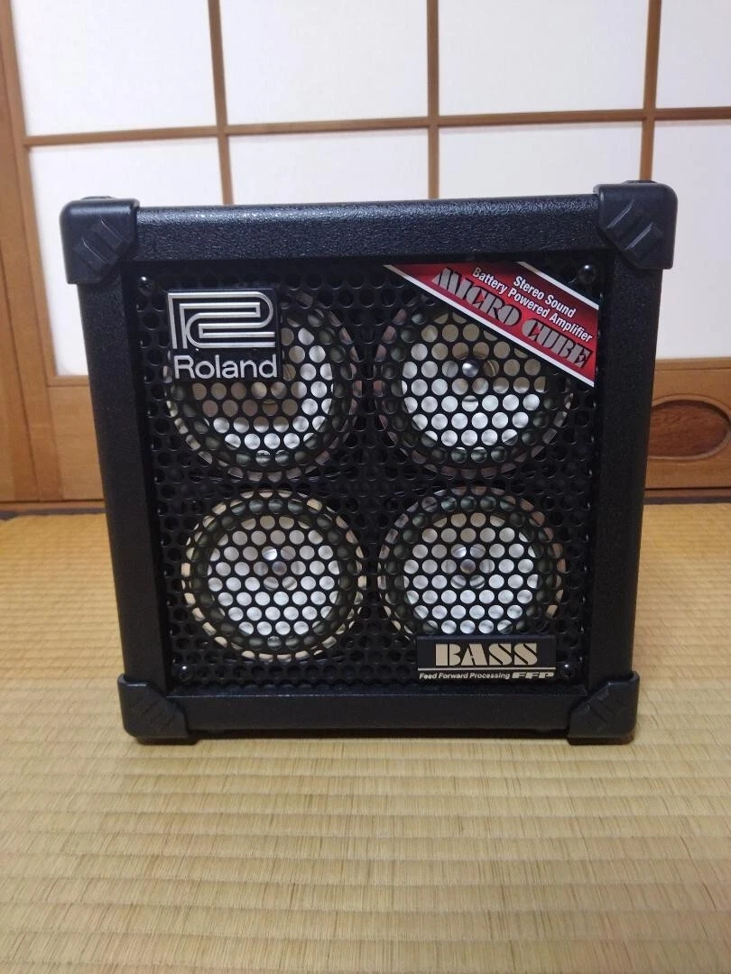 Roland MICRO CUBE BASS RX amplifier Very Good Condition From Japan