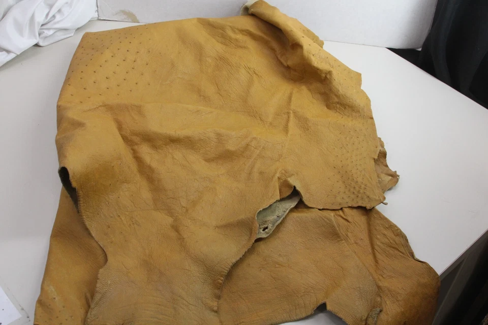 Cuero completo de coñac avestruz 17 sq. Artesanía de cuero especial 100 % genuino ft Foto 3 de 4